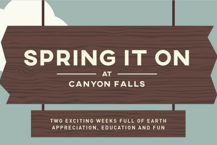 Spring it On Event at Canyon Falls Community Northlake, TX