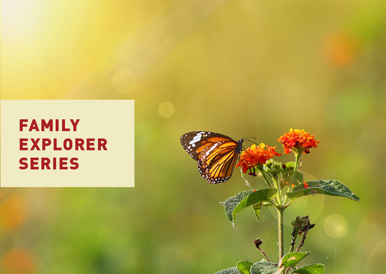 Family Explorer Series at Canyon Falls Community - Butterfly Talk Event 2018