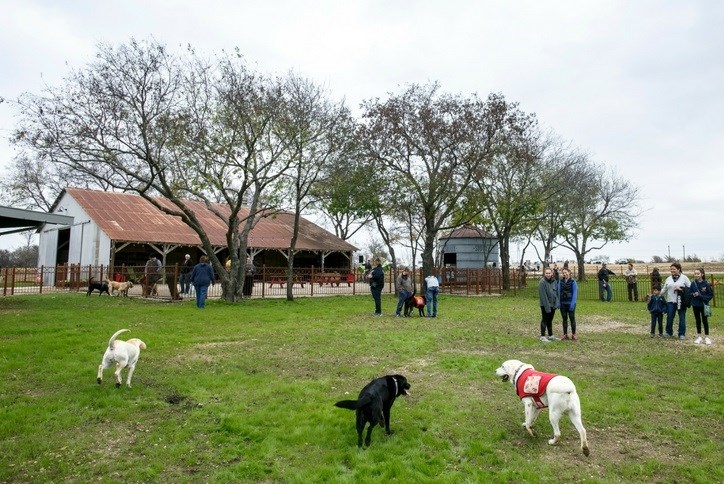 Hay Barn and Pooch Park.jpg