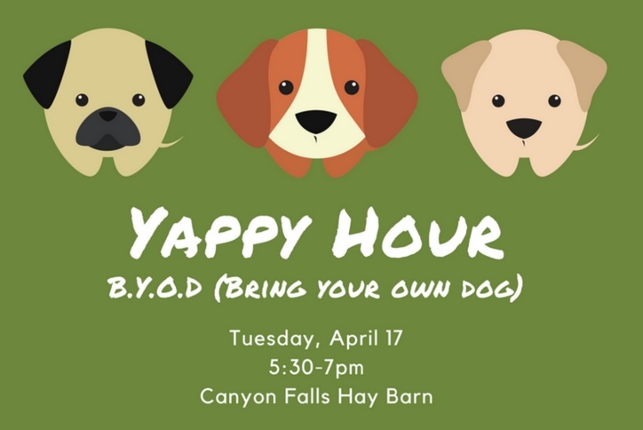 Yappy Hour Dog Social at Canyon Falls Hay Barn Northlake, TX
