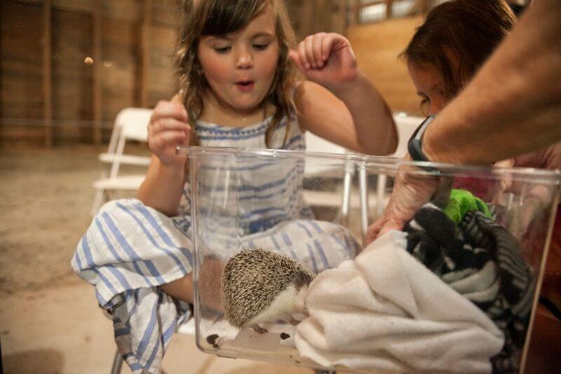 Learning Series at Canyon Falls, a new home community in Flower Mound, TX