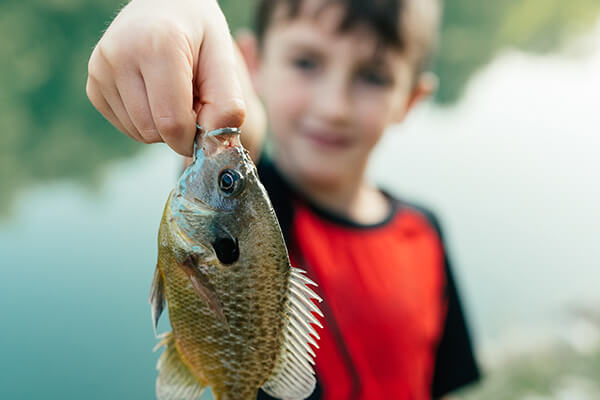 Fishing ponds in Canyon Falls Community Northlake, TX