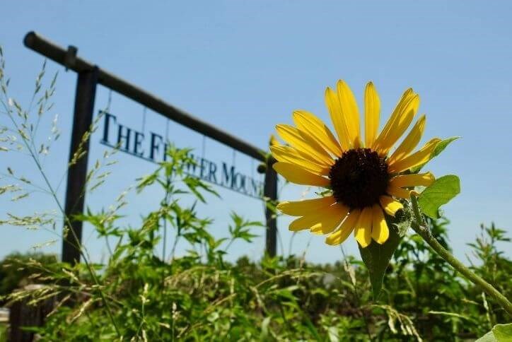 The Flower Mound Blog Post April 2022 b